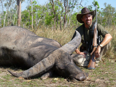 australian water buffalo first