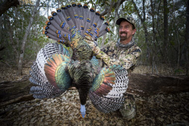 pheasant hunting chris dorsey 1