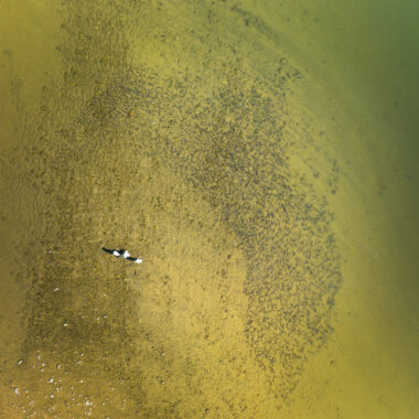 River Boat Drone